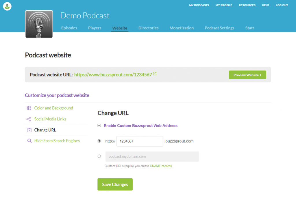 Buzzsprout podcast website domain